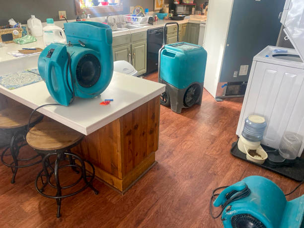 Best Professional water damage repair  in Lexington, NC