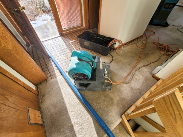 Best 24-hour water damage restoration  in Lexington, NC