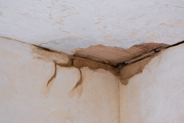 Best Water damage restoration near me  in Lexington, NC