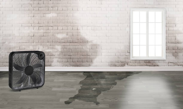 Best Water damage restoration near me  in Lexington, NC