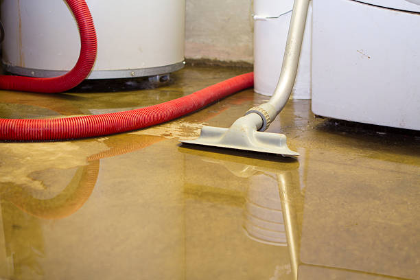 Best Local water damage restoration  in Lexington, NC