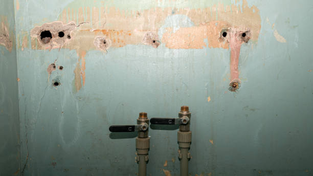 Best Water damage restoration near me  in Lexington, NC