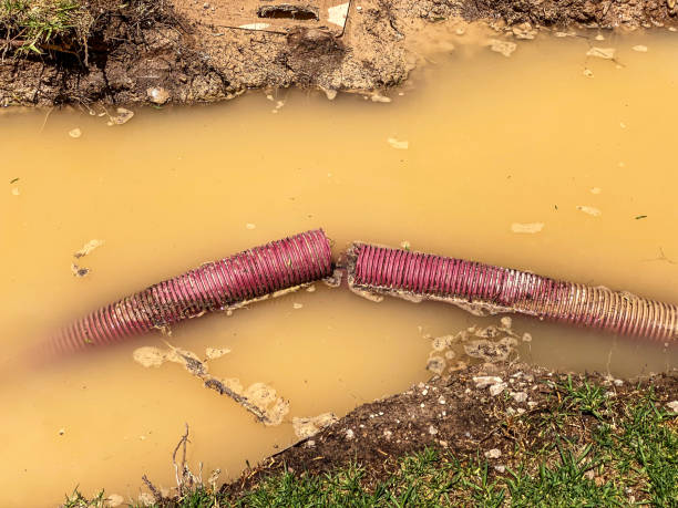 Best 24/7 water damage repair  in Lexington, NC